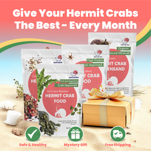 Hermit Crab Food Club