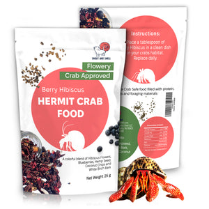 hermit crab food