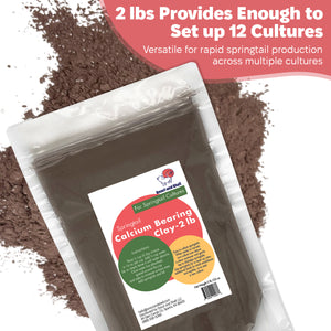 springtails cultures