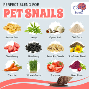 Pet Snail Food
