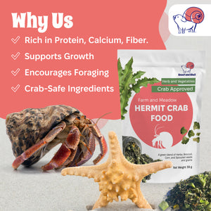 Farm and Meadow Hermit Crab Food