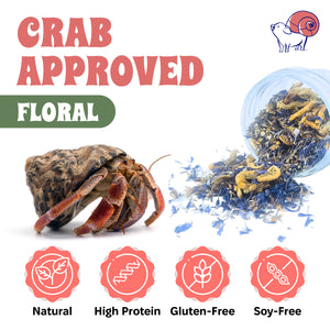 Blue Waves Hermit Crab Food