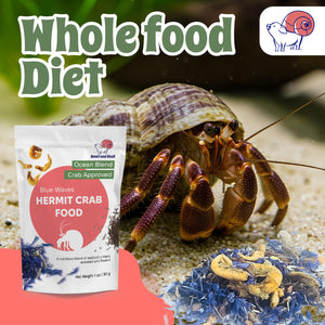 Blue Waves Hermit Crab Food