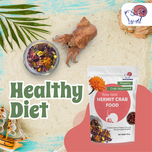 Rose Gold Hermit Crab Food