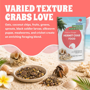 Hermit crab food package with hermit crab and topical forage on sand, text about the varied texture crabs love.