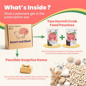 Hermit Crab Food Club