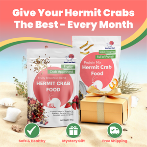 Hermit Crab Food Club