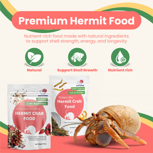 Hermit Crab Food Club