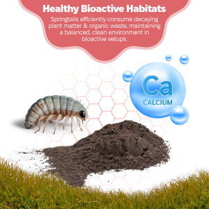 bioactive habitats