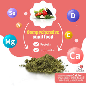 Pet Snail Food