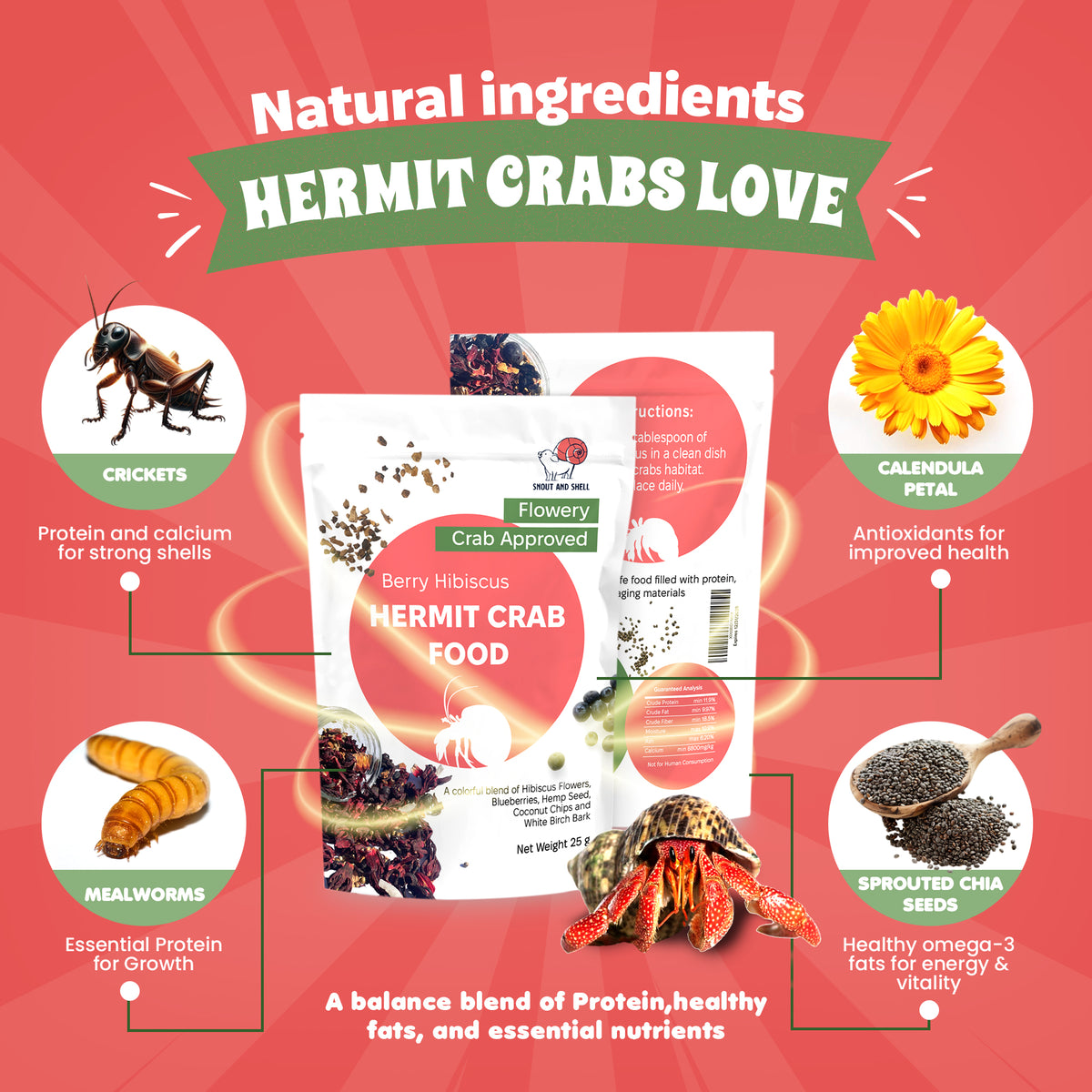 natural hermit crab diet