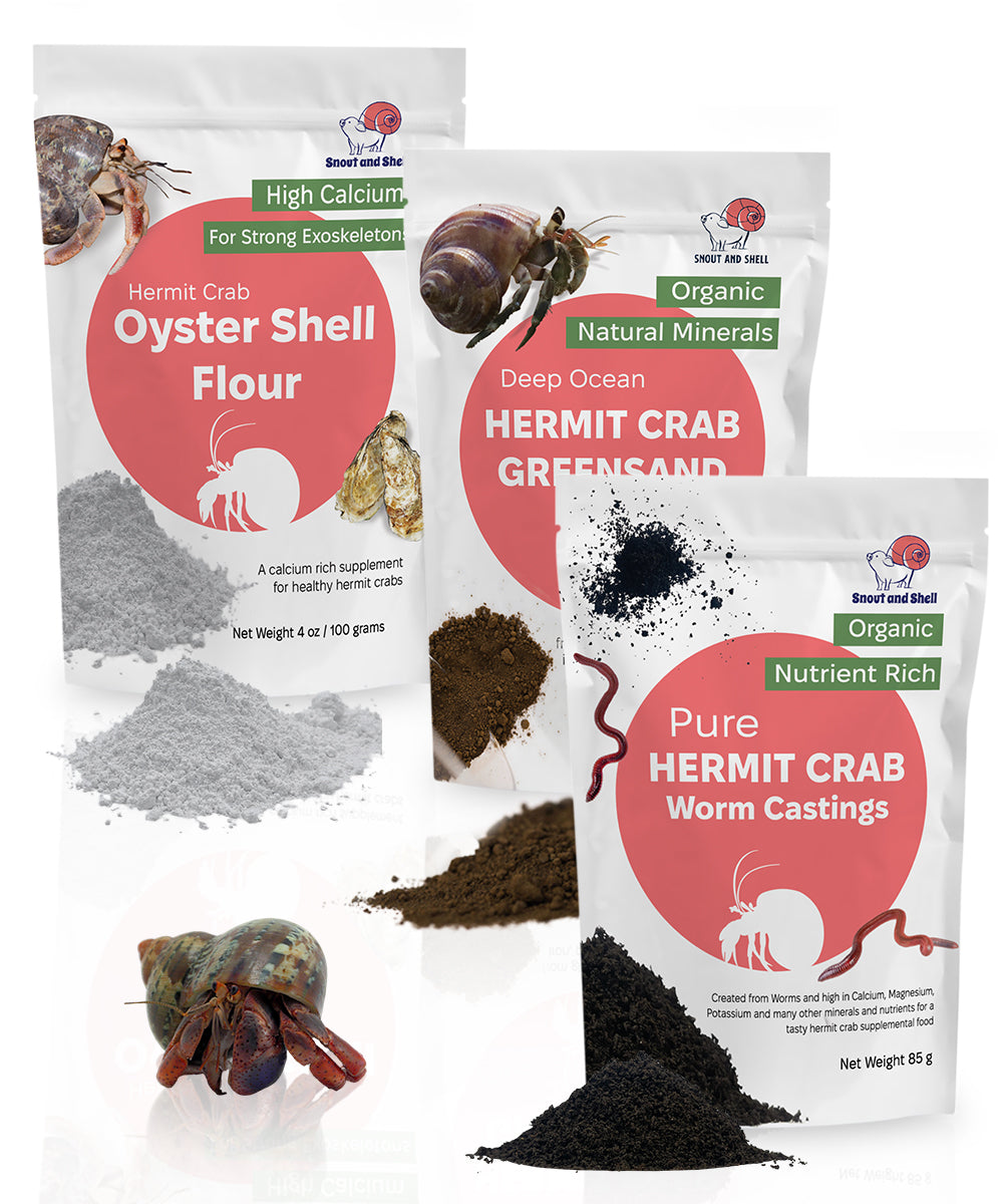 Snout and Shell Hermit Crab Food Bundle