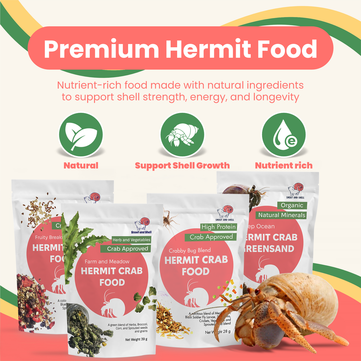 Hermit Crab Food Club