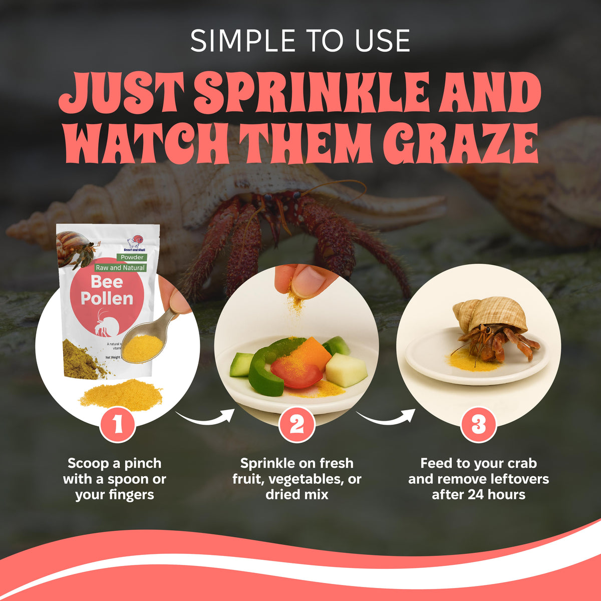 Bee Pollen Powder for Hermit Crabs - 2.5 oz