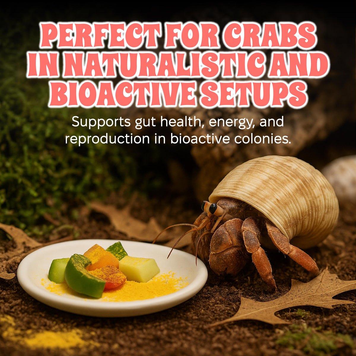 Bee Pollen Powder for Hermit Crabs - 2.5 oz