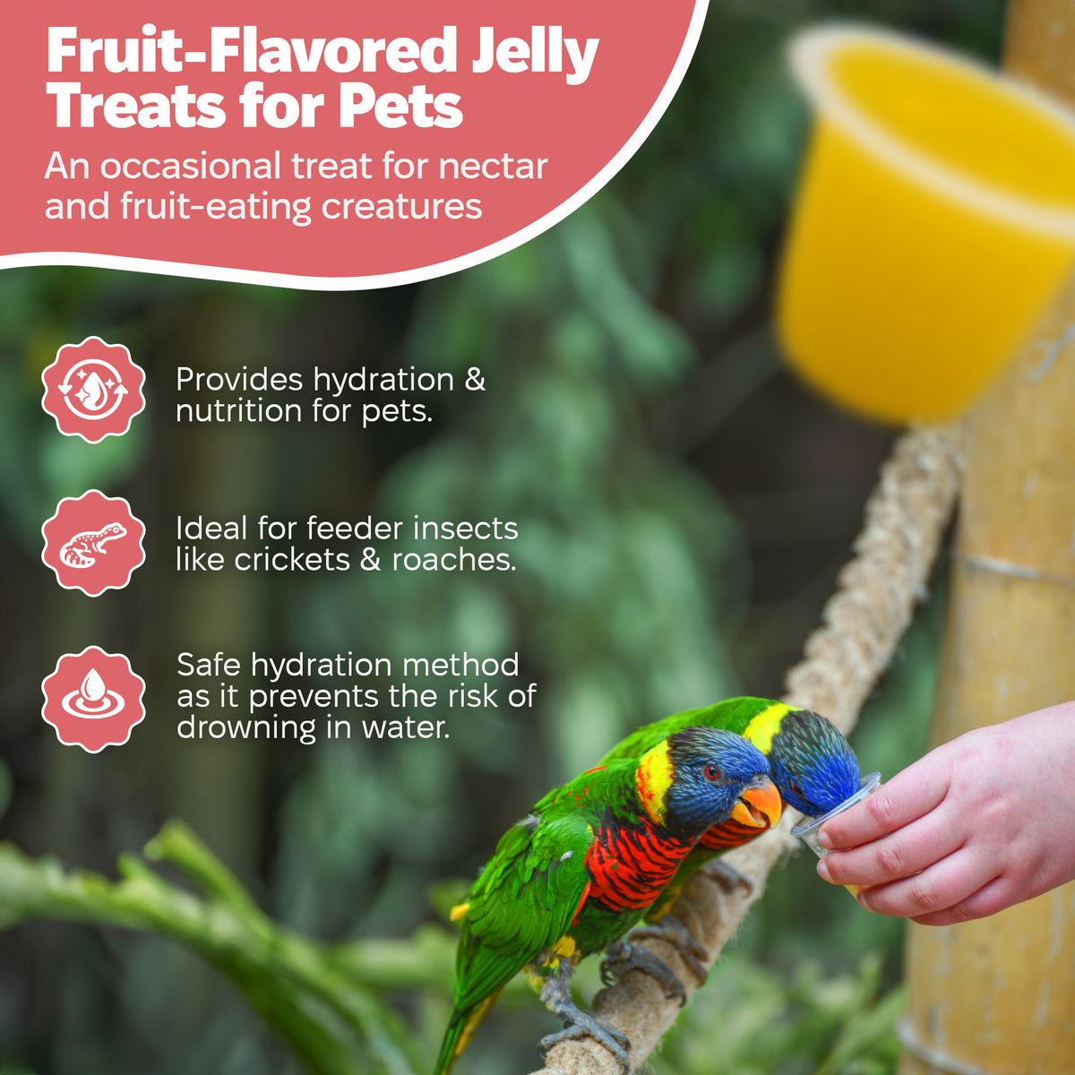 Reptile nutrient gel