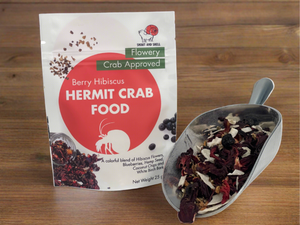 hermit crab food