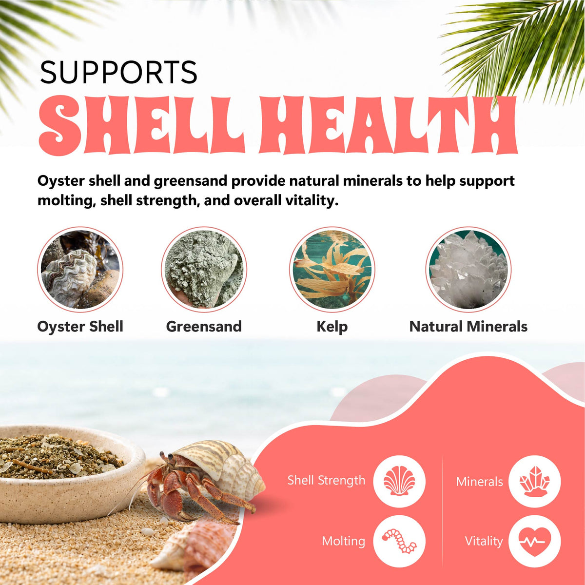 Advertisement for shell health support with images of oyster shell, greensand, kelp, and natural minerals.