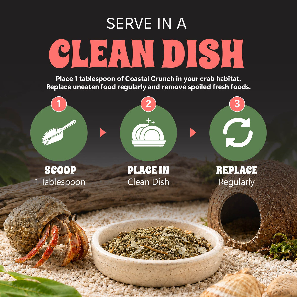 Instructions for using Coastal Crunch crab food with a hermit crab and coconut shell