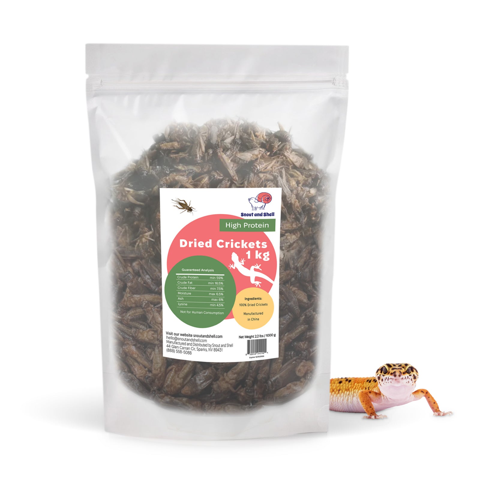 Protein Dried Crickets
