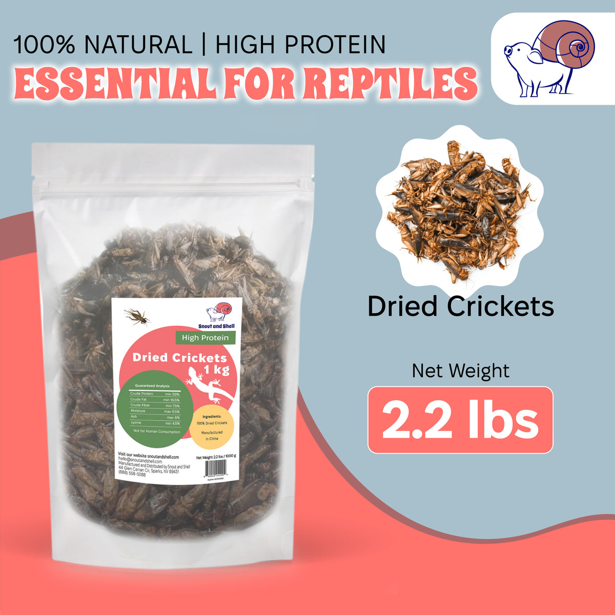 Reptile Food