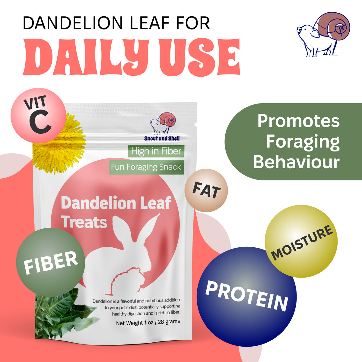 Dandelion Leaf Treat for Small Pets – 1 oz (28g)
