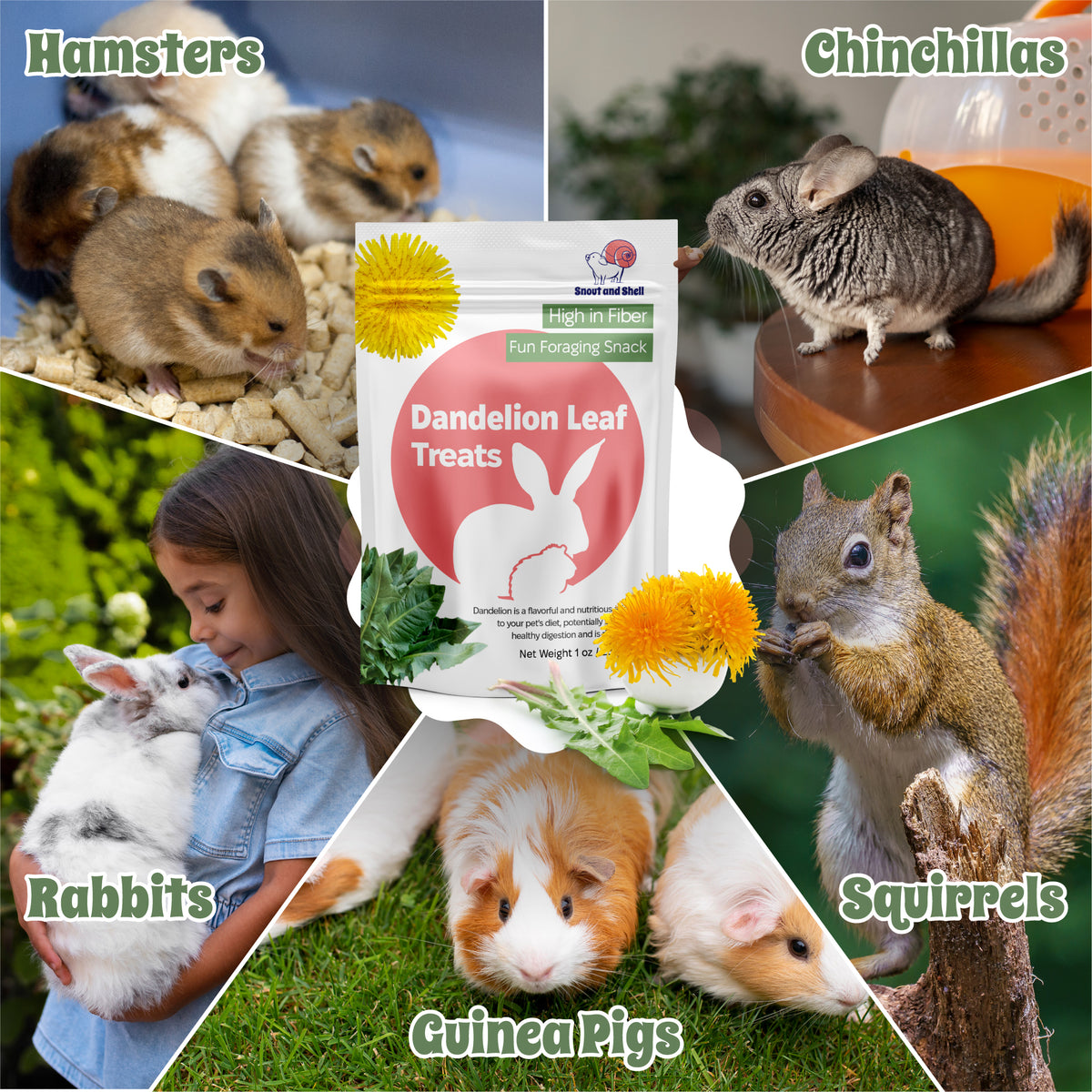 Dandelion Leaf Treat for Small Pets – 1 oz (28g)