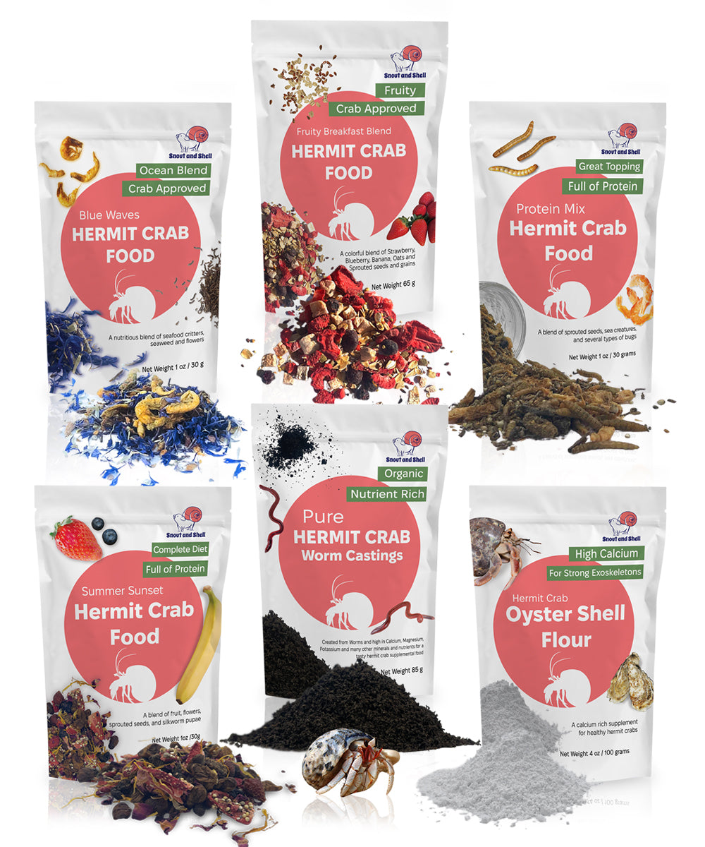 Snout and Shell Hermit Crab Food Bundle