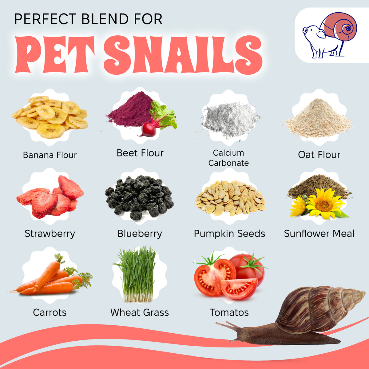 Pet Snail Food