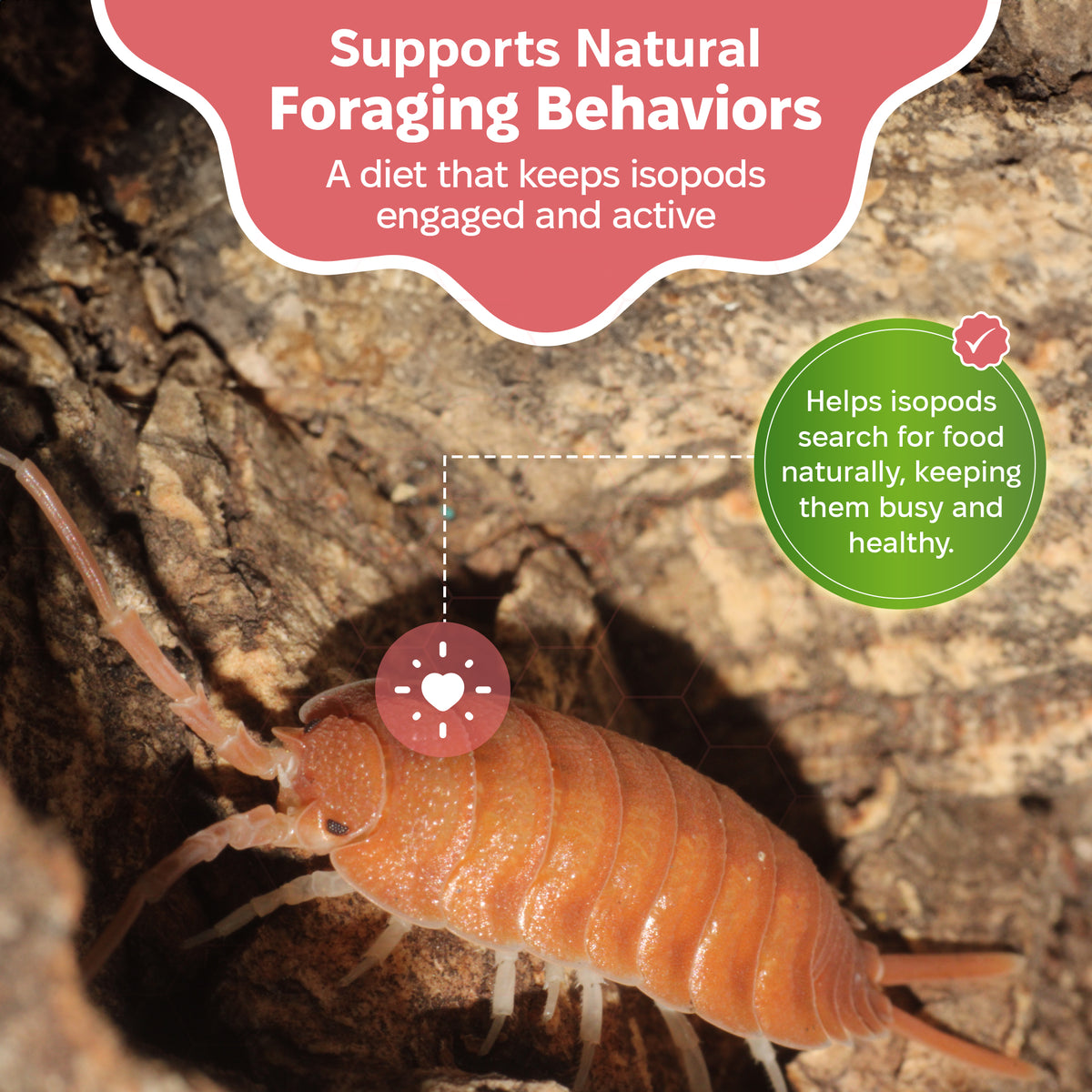 Eco-friendly isopod feed