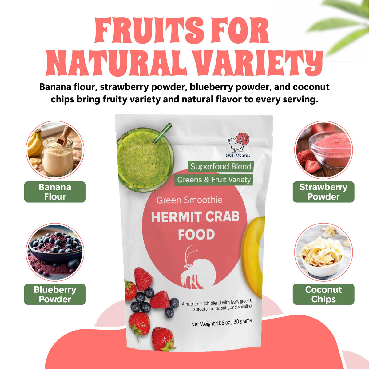 hermit crab food with fruits and superfoods