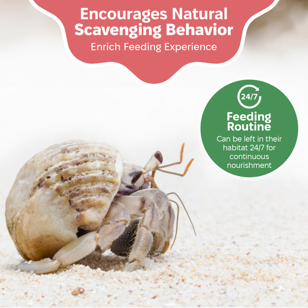 Picture of Boost Your Hermit Crab's Health with Greensand Food Supplement - Snout ...