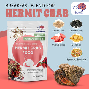 Daily Diet for Hermit Crabs