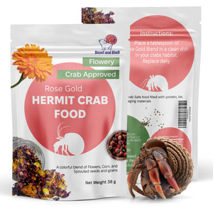 hermit crab food