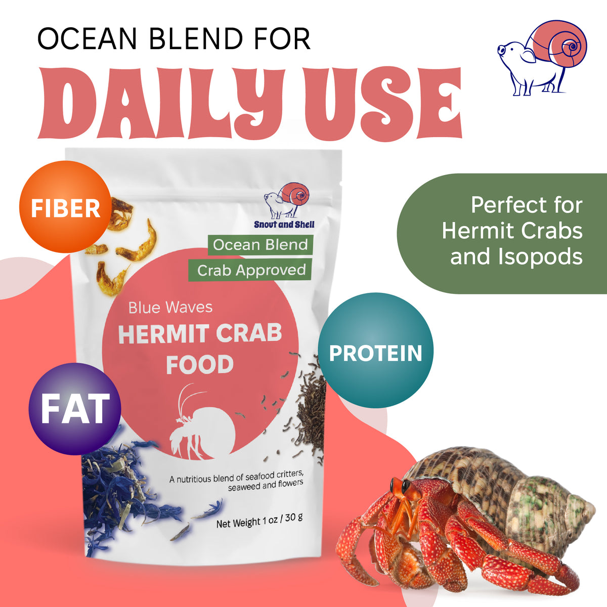 Blue Waves Hermit Crab Food