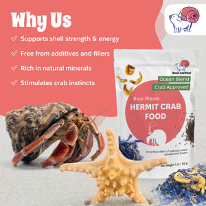 Blue Waves Hermit Crab Food