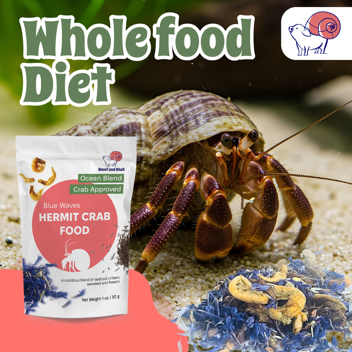 Blue Waves Hermit Crab Food