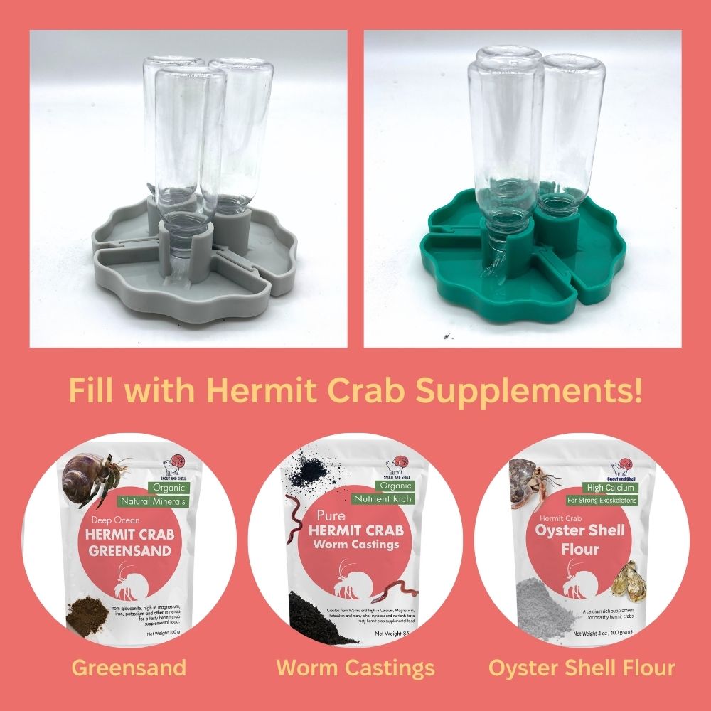 Beautiful view of Hermit Crab Bulk Cricket Feeder Setup