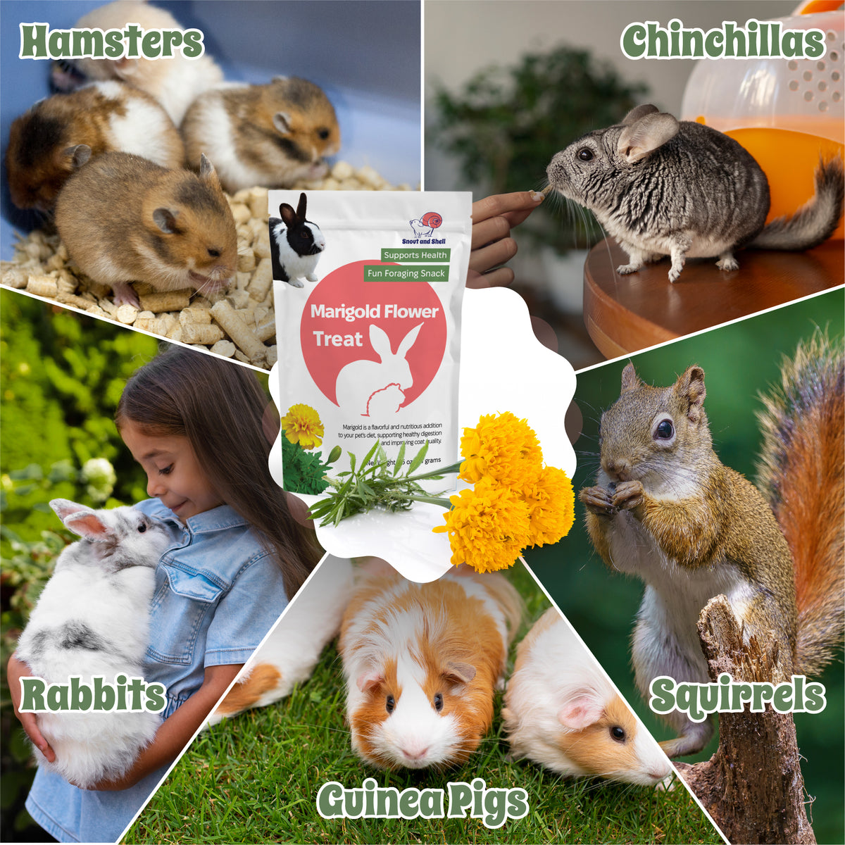 Organic Small Pet Treat