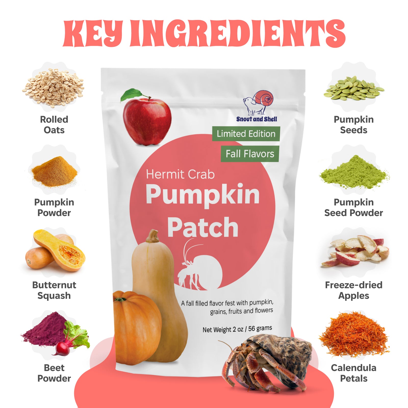 Pumpkin Patch Hermit Crab Food – Limited Edition  – 2 oz (56g)