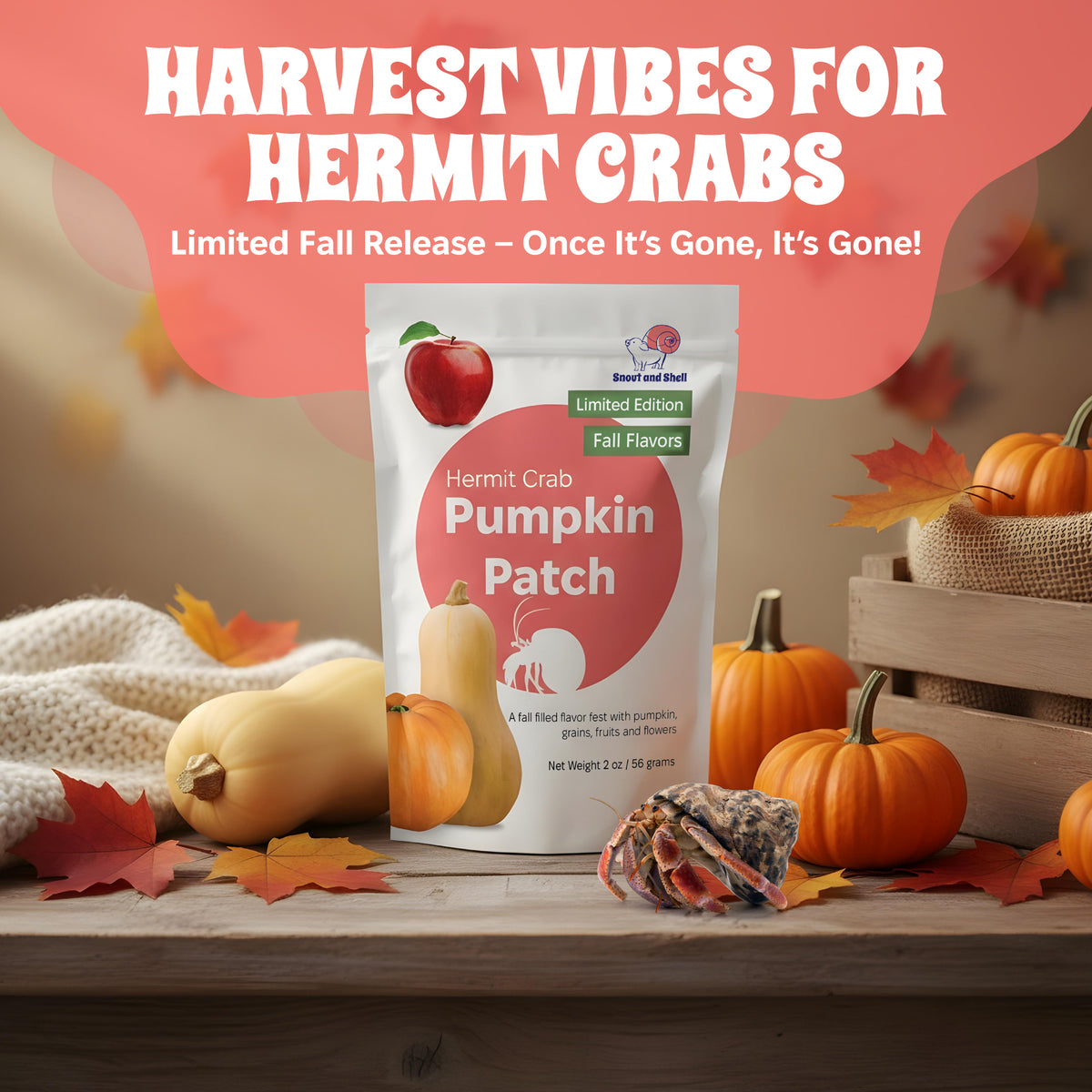 Pumpkin Patch Hermit Crab Food – Limited Edition  – 2 oz (56g)