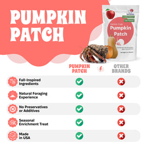 Pumpkin Patch Hermit Crab Food – Limited Edition  – 2 oz (56g)