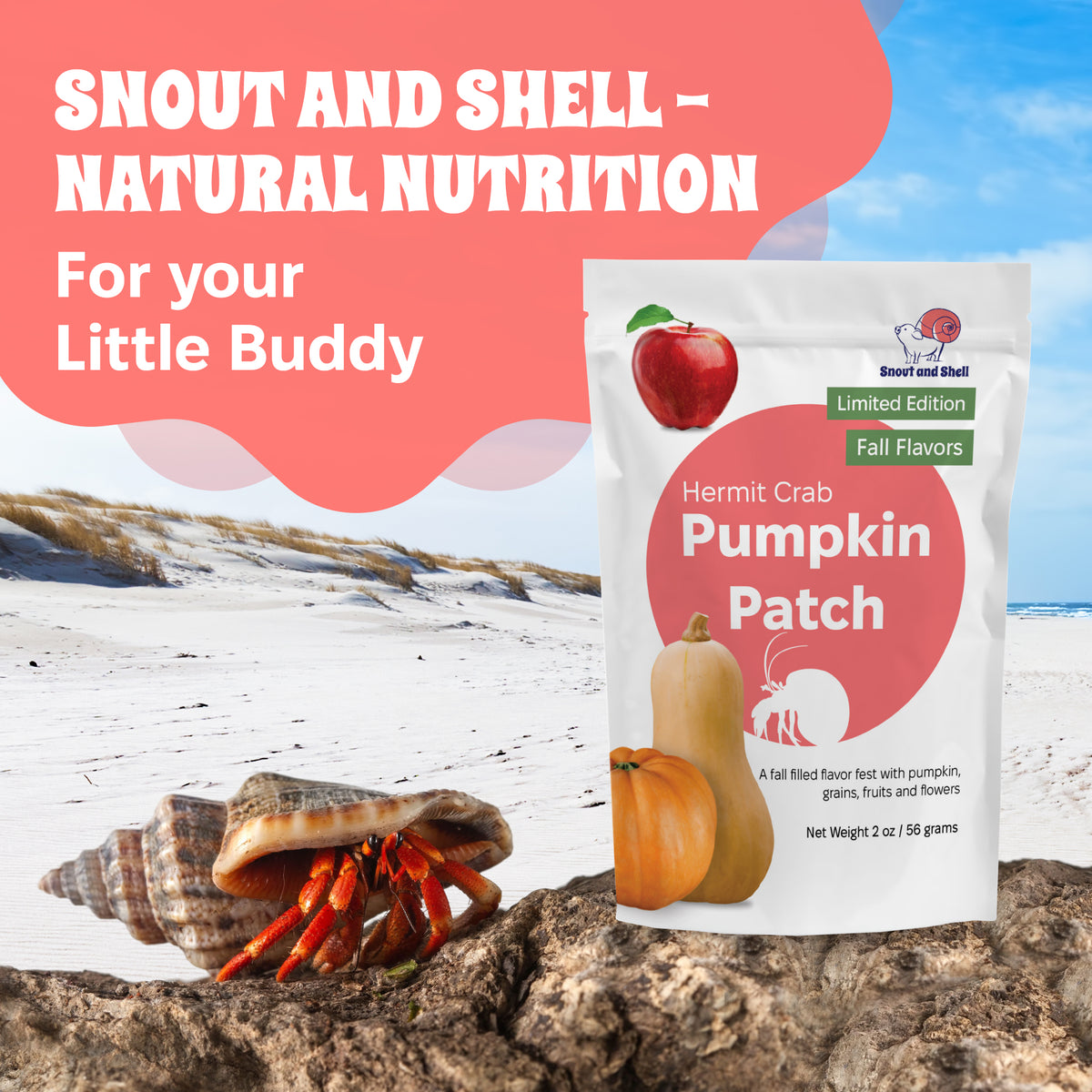 Pumpkin Patch Hermit Crab Food – Limited Edition  – 2 oz (56g)
