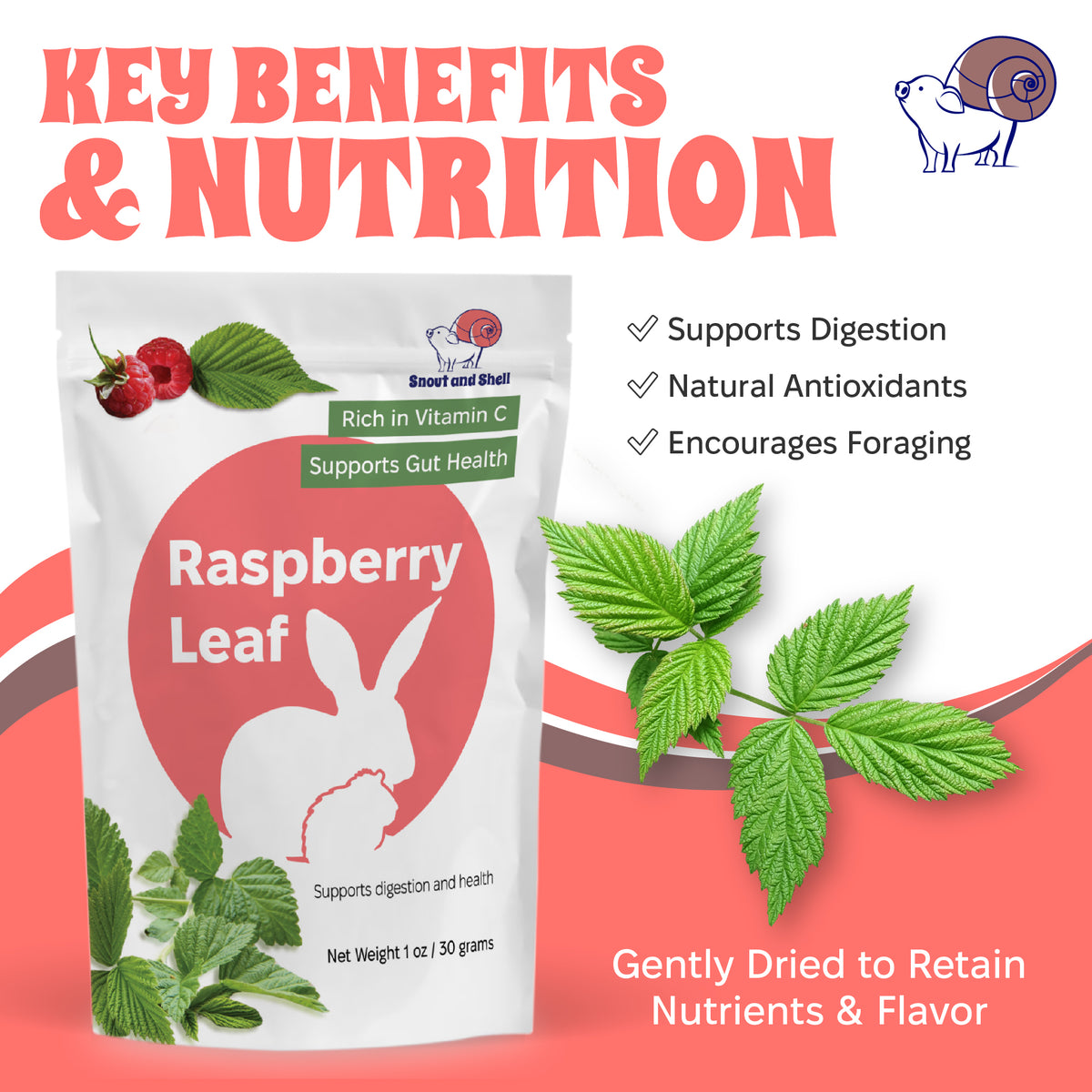 Healthy Snack for Pets