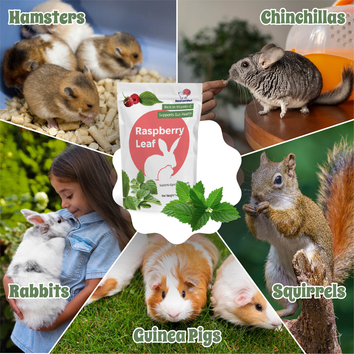 Vitamin C Supplement