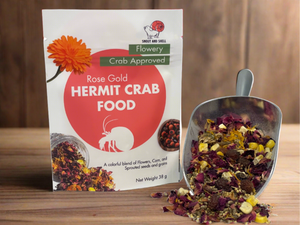 flowery hermit crab food