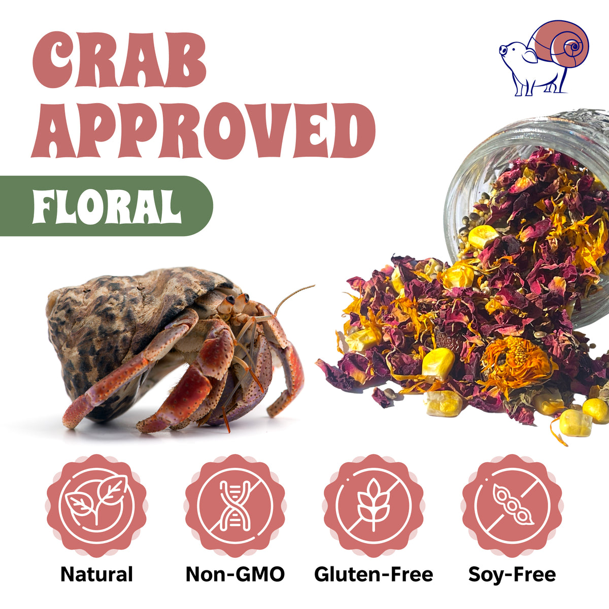 Rose Gold Hermit Crab Food