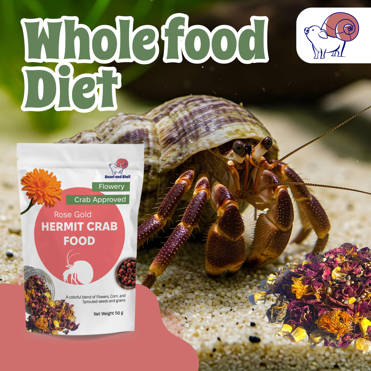 Rose Gold Hermit Crab Food