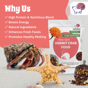 Rose Gold Hermit Crab Food