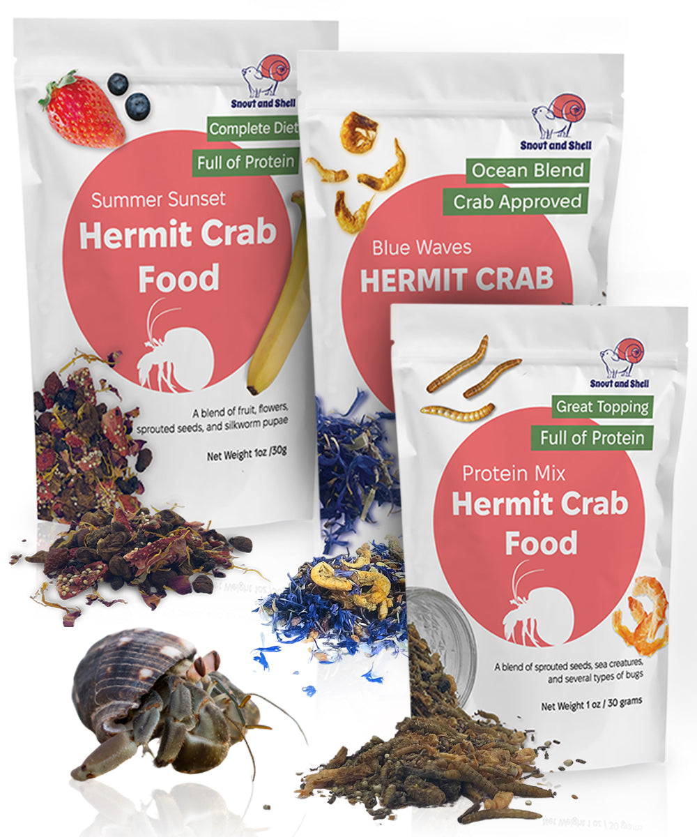 Snout and Shell Hermit Crab Food Bundle